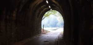 11 things to make you feel better Lisa Steingold blog